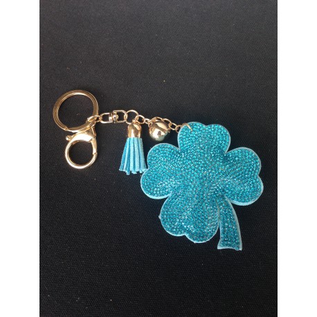 Lucky key door turquoise